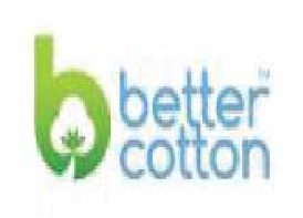 Partners Certification - 119